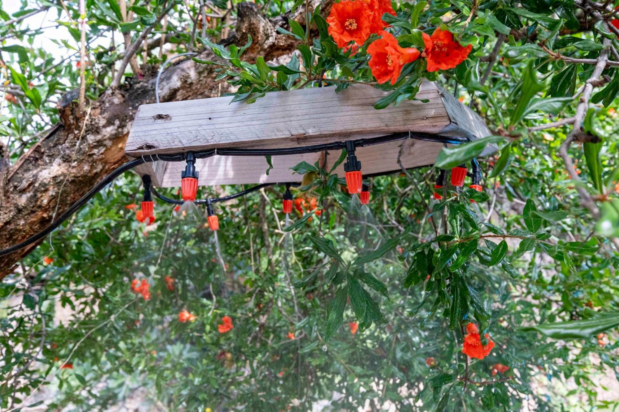 Casa Acollidora I Familiar Amb Jardi I Barbacoa Villa Ager Kültér fotó